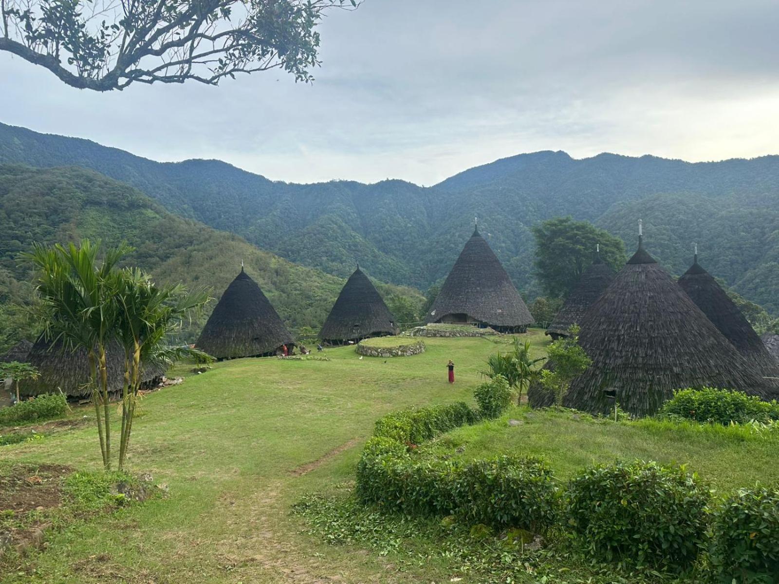 D'Flora Homestay Лабуан-Баджо Екстер'єр фото